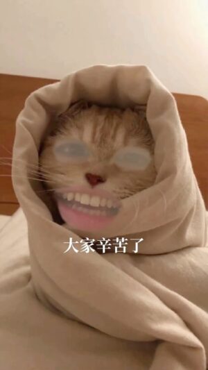 Yang Chang Instagram - 真得沒有這種事☺️