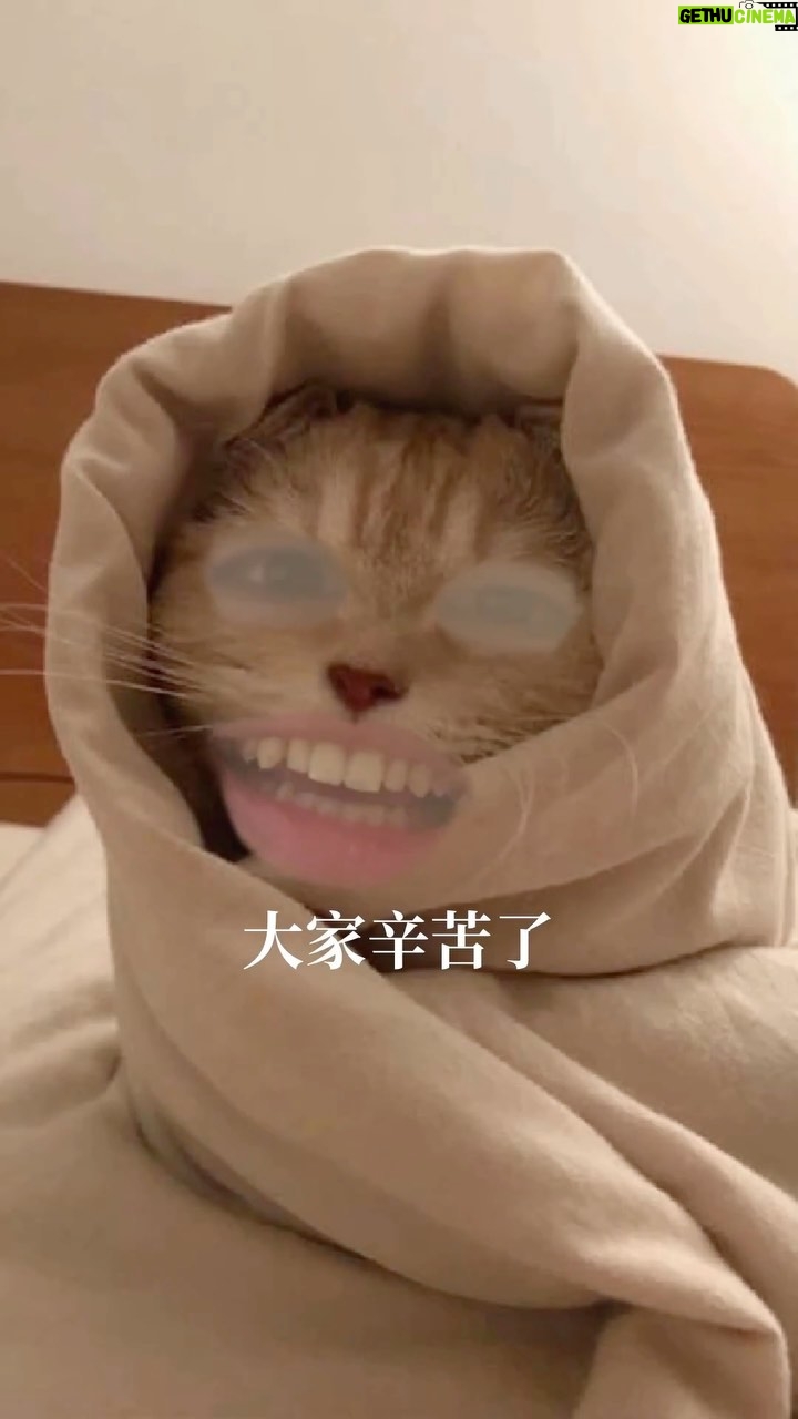 Yang Chang - 621 Likes - 真得沒有這種事☺️