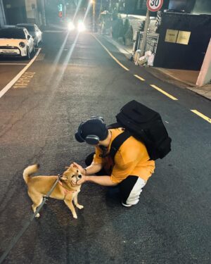 Yang Da-il Instagram - 후… 지치지 않는 그녀와의 데이트.. (이름은 바벨이지만 암컷임)
아무튼 어렸을때부터 백팩 트라우마있어서 운동이나 여행 다닐때나 백팩은 쳐다도 안봤단 말이야
근데 나 이거 매고나서부터 딴 가방 못매겟자나
활용도 미쳐버리자나
운동갈때 이제 이거 없으면 안되자나
주변 운동하는 친구들 이거 매고 다닐때 맨날 바리바리 싸들고 댕길때마다오늘 쓰지도 않는 걸 왜캐 저리 바리바리 싸들고 다니는 거지 쟤들은?
무겁지도 않나 했는데
지금 내가 다 싸고 다니자너 
아무튼 개추천