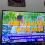 Yeliz Yeşilmen