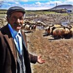 Yetkin Dikinciler