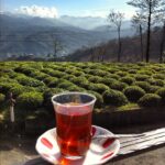 Yetkin Dikinciler