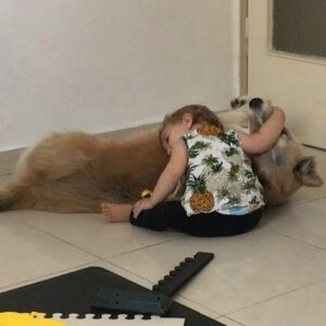 Yon Tumarkin Instagram - I thank my parents every day for raising me around dogs and pets in general. Now my brother and his wife are granting the same gift to Danielle. The result? A wise, loving and caring one year old. Do the same wonderful thing for your kids and nieces - adopt a pet! 🐶🐱 אני מודה להורים שלי בכל יום על שגידלו אותי בסביבת כלבים וחיות בכלל. עכשיו אח שלי ואישתו מעניקים את אותה המתנה לדניאל. התוצאה? ילדה בת שנה חכמה, אוהבת ודואגת. תעשו גם אתם את אותו דבר מדהים עבור הילדים והאחיינים שלכם - תאמצו! 🐱🐶