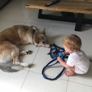 Yon Tumarkin Instagram - I thank my parents every day for raising me around dogs and pets in general. Now my brother and his wife are granting the same gift to Danielle. The result? A wise, loving and caring one year old. Do the same wonderful thing for your kids and nieces - adopt a pet! 🐶🐱 אני מודה להורים שלי בכל יום על שגידלו אותי בסביבת כלבים וחיות בכלל. עכשיו אח שלי ואישתו מעניקים את אותה המתנה לדניאל. התוצאה? ילדה בת שנה חכמה, אוהבת ודואגת. תעשו גם אתם את אותו דבר מדהים עבור הילדים והאחיינים שלכם - תאמצו! 🐱🐶