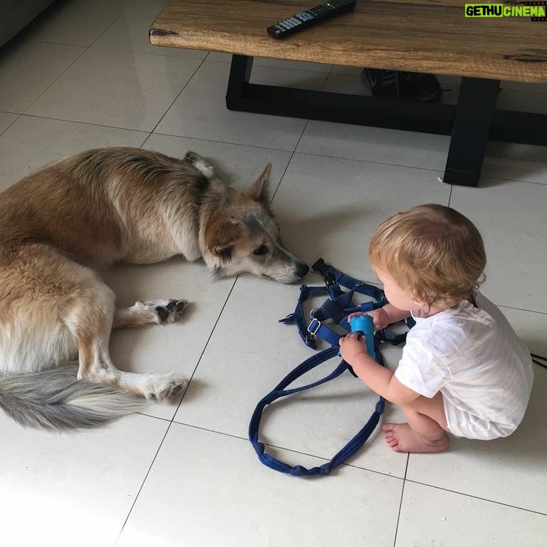 Yon Tumarkin - 4.4K Likes - I thank my parents every day for raising me around dogs and pets in general. Now my brother and his wife are granting the same gift to Danielle. The result? A wise, loving and caring one year old. Do the same wonderful thing for your kids and nieces - adopt a pet! 🐶🐱 אני מודה להורים שלי בכל יום על שגידלו אותי בסביבת כלבים וחיות בכלל. עכשיו אח שלי ואישתו מעניקים את אותה המתנה לדניאל. התוצאה? ילדה בת שנה חכמה, אוהבת ודואגת. תעשו גם אתם את אותו דבר מדהים עבור הילדים והאחיינים שלכם - תאמצו! 🐱🐶
