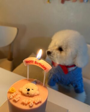 Yoon Byung-hee Instagram - 5살 록희  #hbd 💙