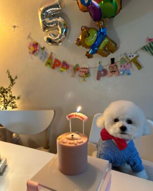 Yoon Byung-hee Instagram - 5살 록희  #hbd 💙