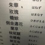 Yoshiaki Yamamoto