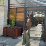 Yu Shuxin
