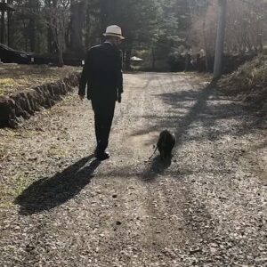 Yukihiro Takahashi Instagram - さて、パスキャルと家の近所をお散歩、
まだまだ足元がおぼつかない、、、坂道怖い。同じの(動画)が何度も出てきます🙇‍♂️🙏✨
#pascal 
#お散歩 
#angel