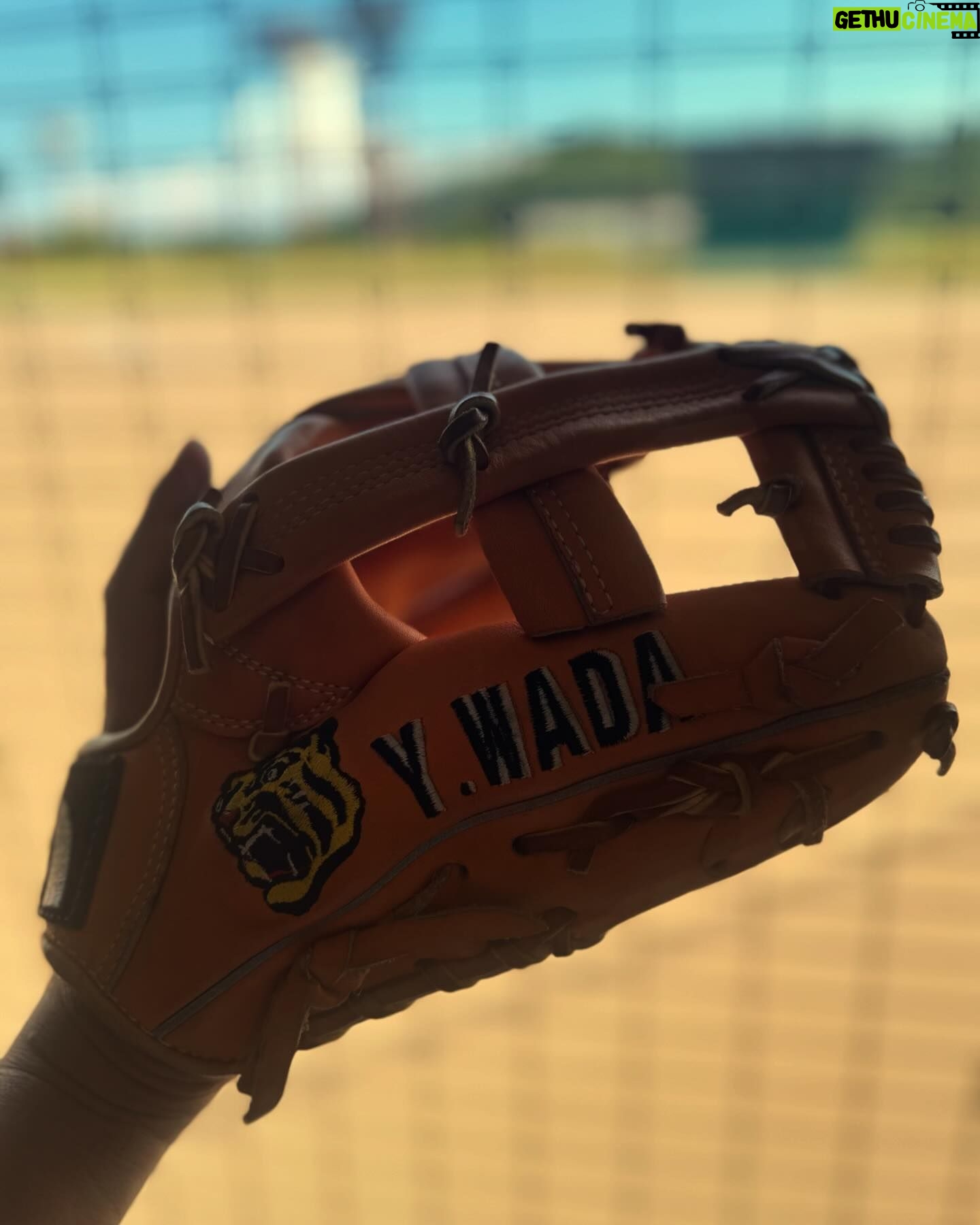 Yusuke Kamiji - 6.6K Likes - 🐅今日久々に野球して気付きました。
⚾️
ピッチャーとバッターはずっと応援されるけど、その間キャッチャーは暑くて重くて怖くて立って座って動いてずっと投げ返してるのに、全然大変さが伝わんないって事🤣
やらなきゃ分からぬあの景色と感覚w
現役45才だくだく頑張っております
世の中のキャッチャー頑張ろう
#みんなも素晴らしかった👏
#グローブ
#和田豊 元監督 現 2軍監督
#阪神タイガース
今も大切に使わせて頂いておりやす