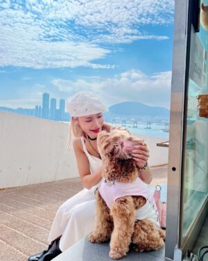 ZSun Instagram - 𝐵𝑢𝑠𝑎𝑛~🌊 
마! 느그 서장이랑 마! 일하러만 갔던 부싼 
@rihey__  같이👯‍♀️💘