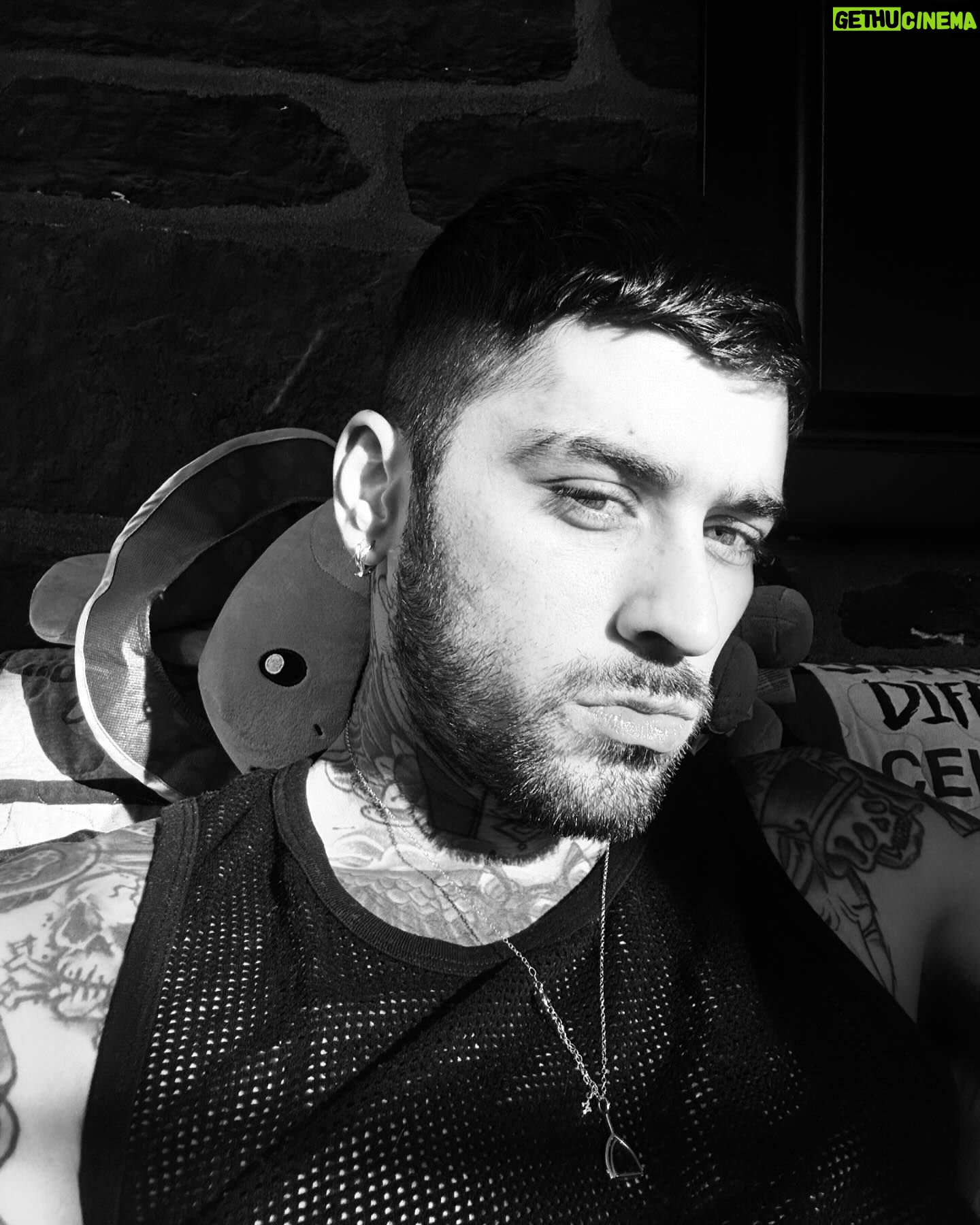 Zayn Malik - 1.9 Million Likes -