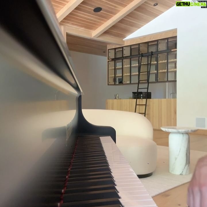 Zedd - 3 Likes - Dumping