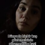 Zeynep Çamcı
