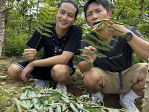 Zhang Ting Hu Instagram - 對於料理的熱愛，在於一步步將每一樣特別的食材，融合成一道無違和的美味料理！
 
首次解鎖剌蔥入菜，味道還不賴！

今晚10點，東森超視33頻道，拜託了！廚神！

@bestchef.ebc 
@emerson_tsai