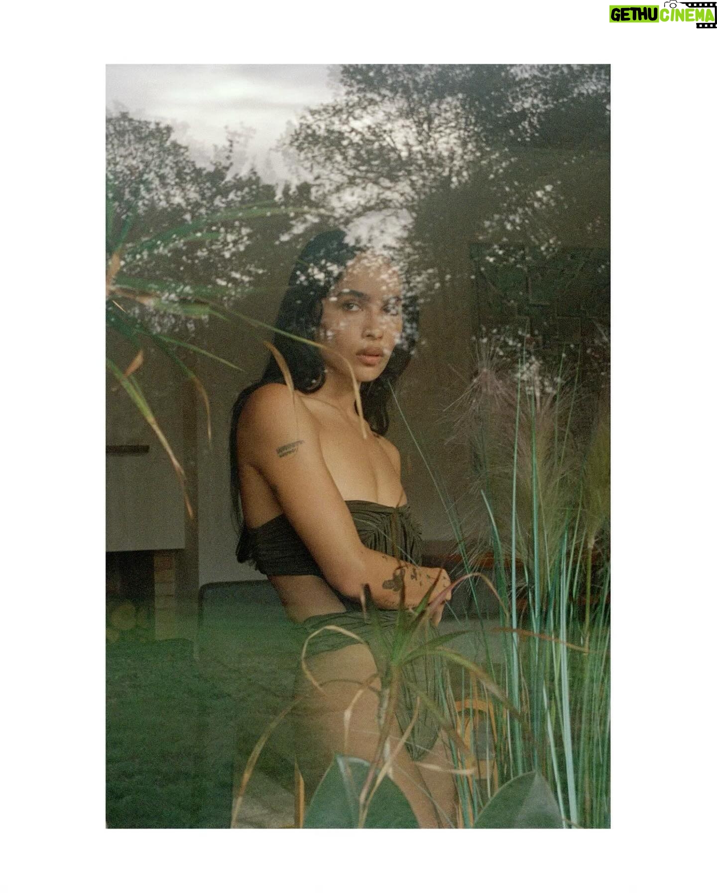 Zoë Kravitz - 553.3K Likes - Saint Laurent by Anthony Vaccarello