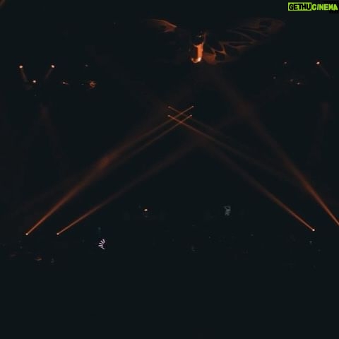 deadmau5 - 32.9K Likes - rezzmau5 at @tomorrowland!! thx Belgium!! <3