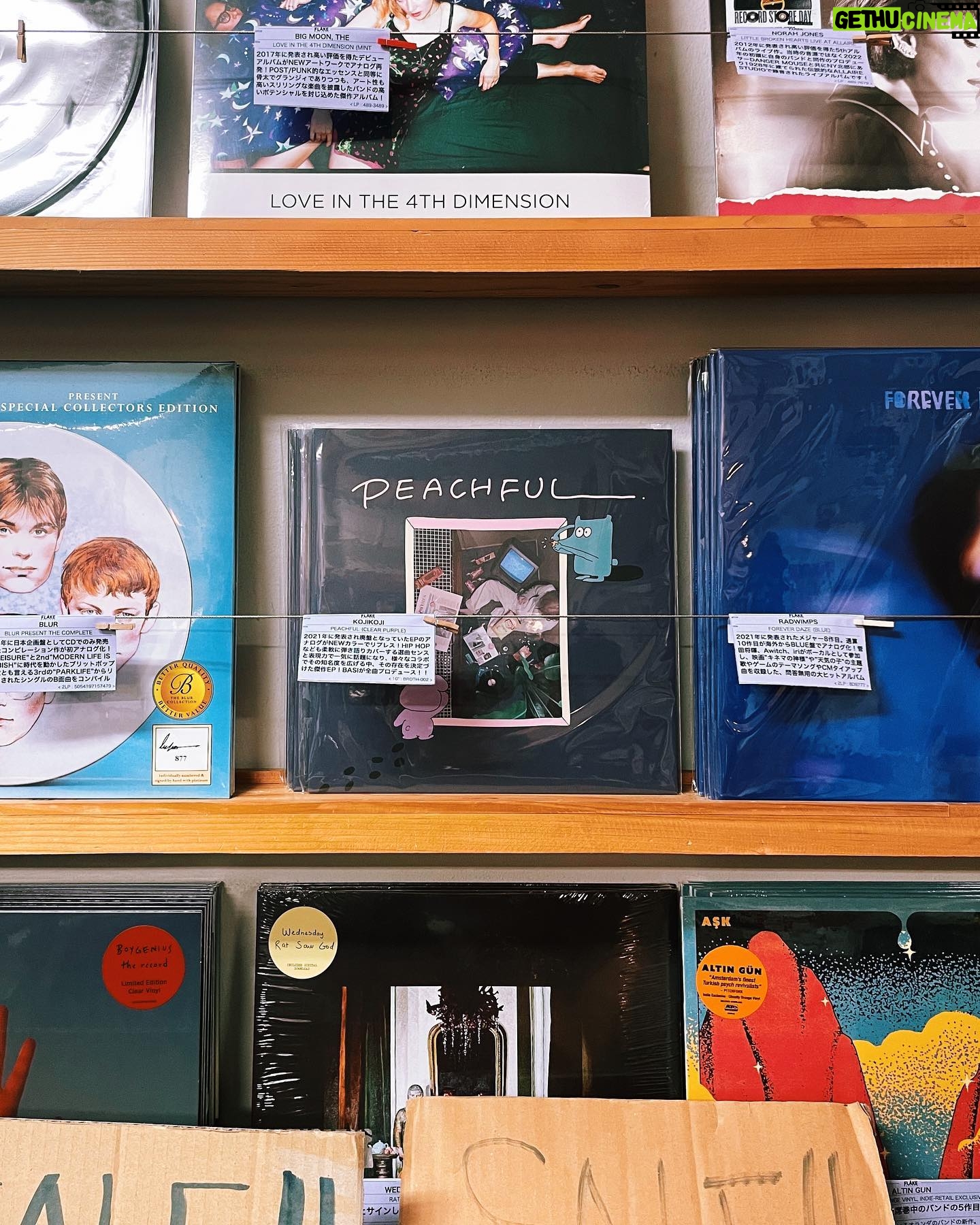 kojikoji - 1.2K Likes - .
ęØę„ćÆFLAKE RECORDSć§ć¤ć³ć¹ćć¢ć©ć¤ćć§ćć
ććććØććććć¾ććšš»āāļøš£
ć¬ć³ć¼ćć«å²ć¾ćć¦ććć©ć¤ććÆę°é®®ć ć£ććć©å®åæęććć£ć¦ćć客ććå
Øå”ćØē®ćåćč·é¢ć ć£ćć®ćććēµå§ćŖć©ććÆć¹ććć ć¼ćć§ć§ćć¾ććšš»
ććć¦ćµćć©ć¤ćŗć²ć¹ćć§ē©ŗé³ćććåŗć¦ććć¾ććļ¼ććććØććšā¤ļøāš„
ććć¦FLAKEć«ē½®ćć¦ććć£ć¦ććPEACHFULć¬ć³ć¼ćć®åØåŗ«ć®ćć”20ęć«ćµć¤ć³ćć¦ććć®ć§ććć²ćåŗć«č”ć£ć¦ćæć¦ćć ććš