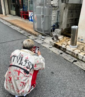 t-Ace Instagram - ごらん通りなーんもしてない
ただ寝て起きて飯食って海行ってを繰り返してる
ハブ酒飲むと次の日〇〇ちハンパない
でもリリックだけは超書いてる
東京戻ったら早く曲におこしたい
全然書けなかった時期から比べたら多分これいい状態よな？猫は見つけたら絶対絡むようにしてる
#オレのバナナに手を出すな 
#tAce #エロ神クズお #宮古島