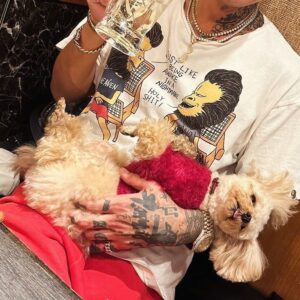 t-Ace Instagram - いつの間にか隣にきてちょっと触ったらこれ
こいつは自分の可愛さが何かわかっていやがる
やるな🐕
でもおれは猫派🐈
#犬 #あざとい #猫派 #tAce #エロ神クズお