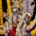 Abhidnya Bhave