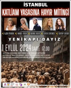 Ajda Pekkan Instagram - Bu gün hep beraber oradayız, bir can bir candır diyebildiğimiz için , insan olduğumuz için , yaratılana yaratandan dolayı sonsuz sevgi ve merhametle sahip çıkmak istediğimiz için 🙏🏻🧿