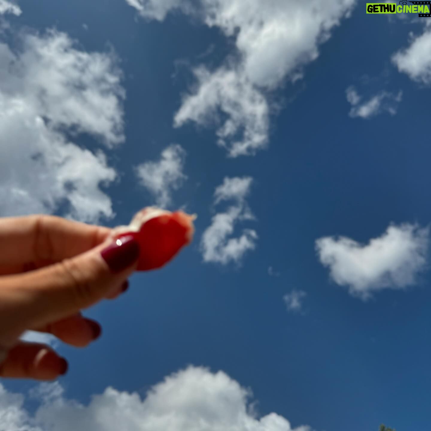 Alba Carrillo - 22.5K Likes - Ćltimos dĆas. Cara lavada, vestido @georges_rech y mi rĆo. Se termina un verano tan brutal que solo puedo dar graciasšš»
Un aprendizaje? No cualquier cosa. No a cualquier precio. šš»š¦¦šļøšāļøš±šš #gifts