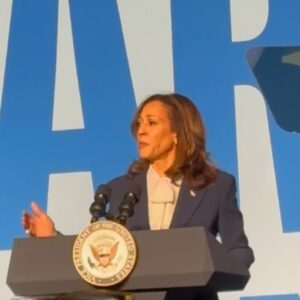 Ana Navarro Instagram - Got to watch our girl, @kamalaharris in action, today. I so ❤️’d something she said: we are not as much fighting against something, as we are fighting FOR something. We are fighting for opportunity. We are fighting for freedom. We are fighting for our values. 🇺🇸🇺🇸🇺🇸