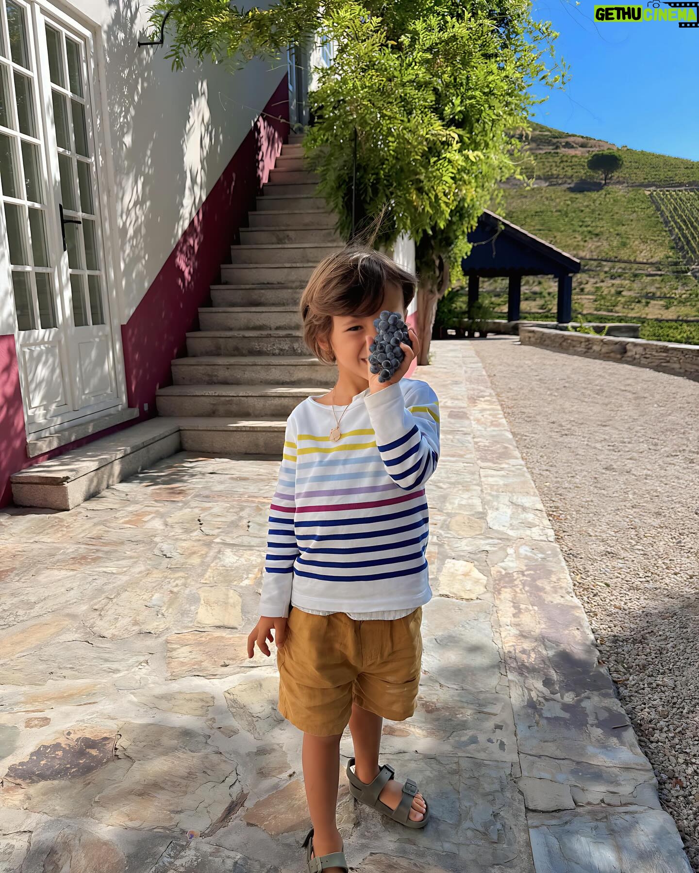 Ana Sofia Cardoso - 4.8K Likes - Douro, és um charme!!
#douro #douroriver #douroriver #quintanova #lovetravel #travelling #instatraveling #beautiful #beautifuldestinations #travel