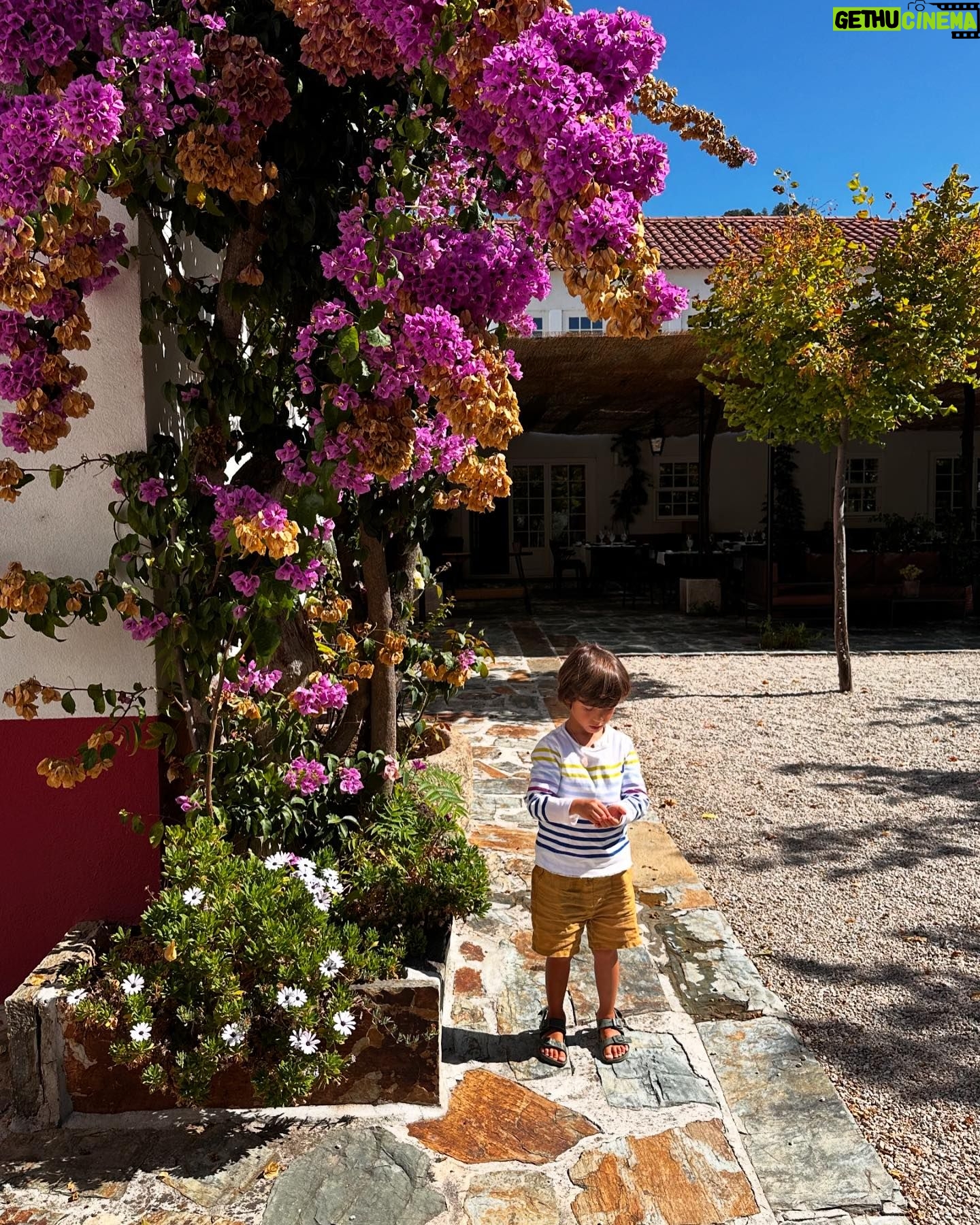 Ana Sofia Cardoso - 4.8K Likes - Douro, és um charme!!
#douro #douroriver #douroriver #quintanova #lovetravel #travelling #instatraveling #beautiful #beautifuldestinations #travel