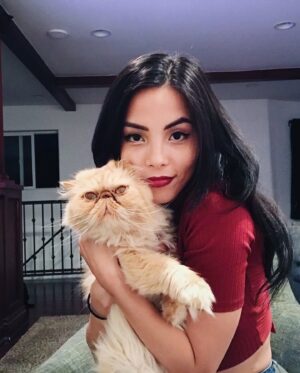 Anna Akana Instagram - Congress crossed the rainbow bridge today. My heart is broken. I loved this muppet like nothing else on this planet. He was truly a force to be reckoned with & he joins his brother & sisters in the clouds to chase the birds 
🤍
Goodbye my love 
My heart is a cardboard box 
Almost too small for you to fit in
Spin and sit and sleep 
And dream good dreams
Of me