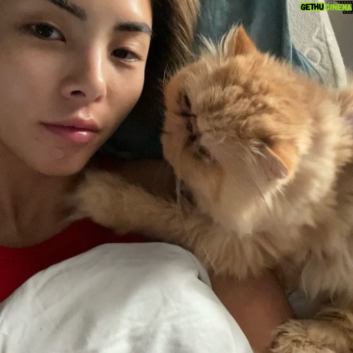 Anna Akana - 31.8K Likes - Congress crossed the rainbow bridge today. My heart is broken. I loved this muppet like nothing else on this planet. He was truly a force to be reckoned with & he joins his brother & sisters in the clouds to chase the birds
🤍
Goodbye my love
My heart is a cardboard box
Almost too small for you to fit in
Spin and sit and sleep
And dream good dreams
Of me