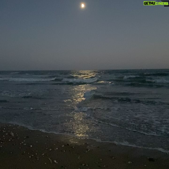 Anne Décis - 1.7K Likes - Morbihan secret💙