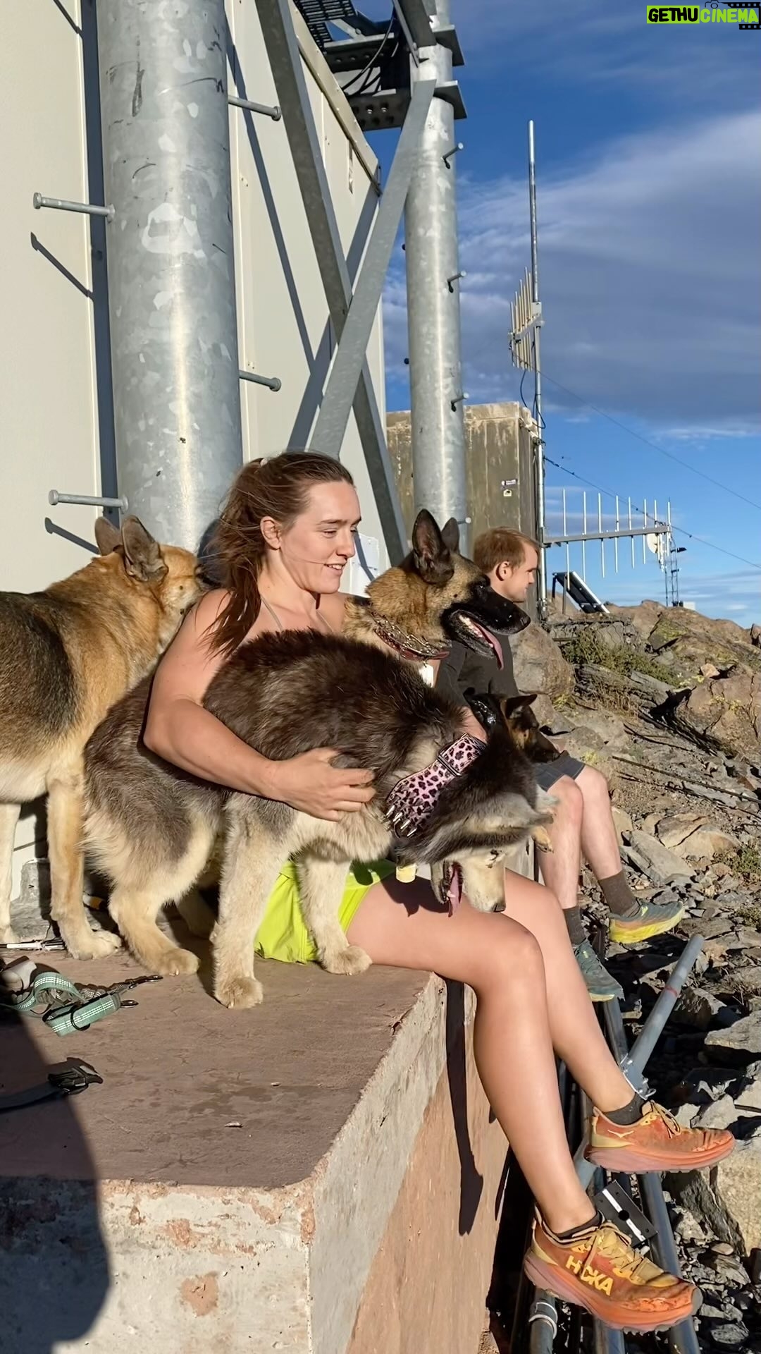 Aspen Ladd - 1.1K Likes - 10,015 ft up and taking it all in with my brother, sister, and our pups tonight π