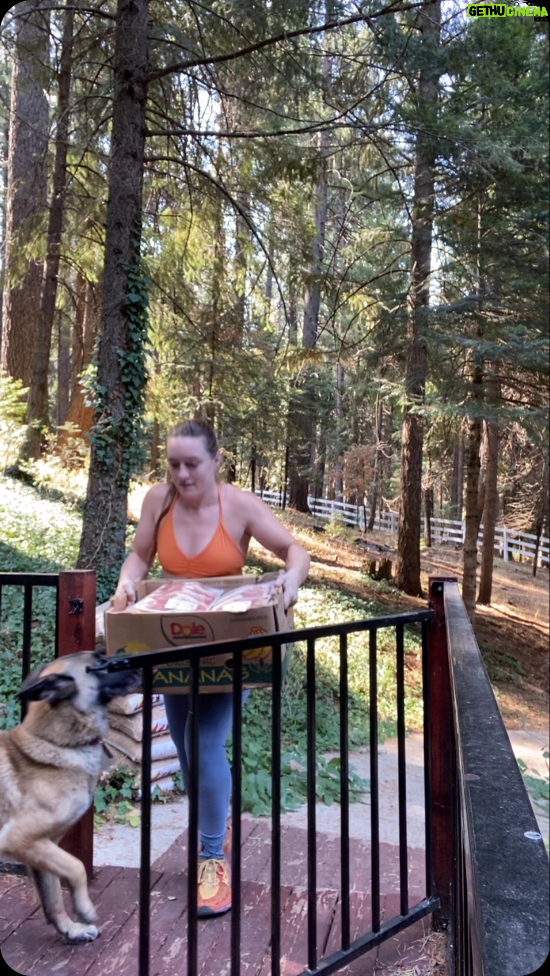 Aspen Ladd - 714 Likes - One of the many practical benefits of being quiet strong ( if I do say so myself self) β¦less trips to the car for groceries π