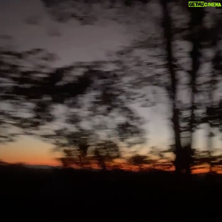 Assucena Assucena - 2.1K Likes - Subindo o Morro do Pai Inácio pela segunda vez, embora tudo pareça novo de novo. Dos lugares mais lindos que já pude estar! A Chapada Diamantina é um tesouro plantado no sertão da Bahia. Fico a desvendar energias entre pedras, ervas e cachoeiras🙏🏽✨❤️