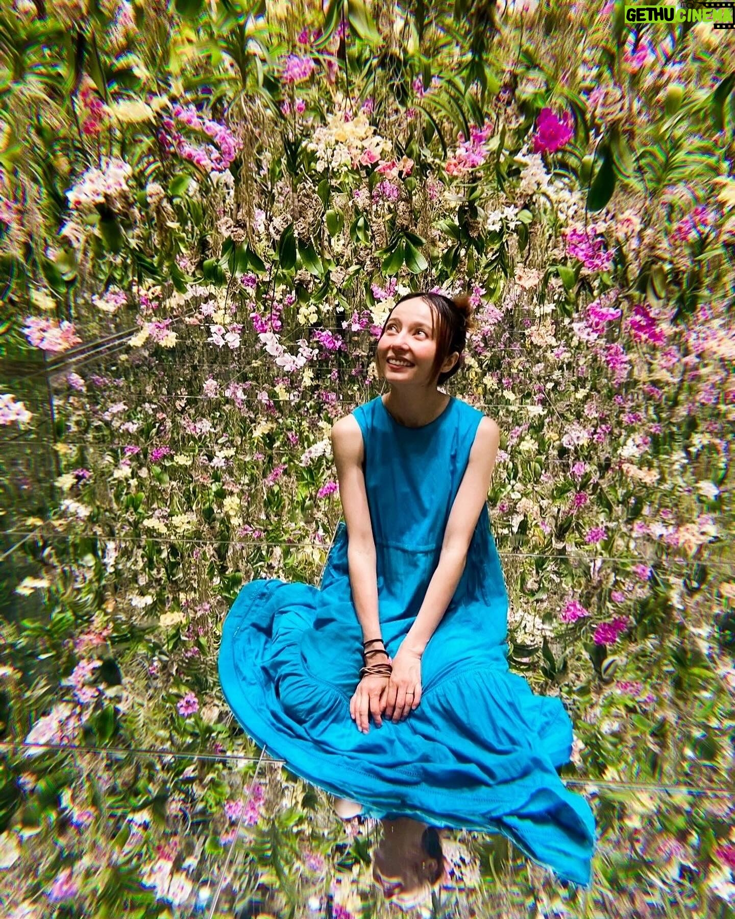 Becky - 6.8K Likes - 愛するチームラボへ。
本当に最高。
本当にだいすき。
できれば住みたい。
幸せな時間をありがとうございました。
2025年の新エリア、心から楽しみにしております!!
#全部人が撮ってくれた写真 🤣🌺
@teamlab.planets