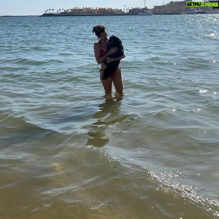 Bellamy Young - 7.8K Likes - Temos saudades tuas, Portugal!! 😭❤️🇵🇹
Hope everyone's long weekend is super fun.
(But where did summer go?🤦🏻♀️)
Sending each of you so much love! 💗❤️💗