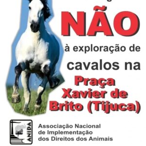 Betty Gofman Instagram - Quem vê os cavalos na Praça Xavier de Brito pode achar uma situação inofensiva, animais ali levando crianças passeando com seus pais e felizes, mas desconhece a exploração que eles sofrem.  Muitos vivem na Estrada Jacarepaguá e percorrem o trânsito até chegar na praça da Tijuca e na contra mão, eu já vi..

Infelizmente isso não acaba e precisa de apoio da sociedade para esses animais ficarem livres