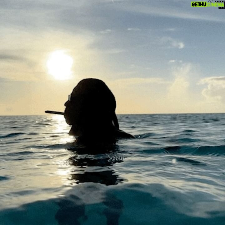 Beyoncé - 4.8 Million Likes -