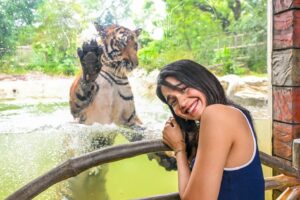 Bhagyashree Limaye Instagram - My recent trip to the Mumbai Zoo was one of the best experiences I've ever had at a zoo. The animals looked so happy, and I honestly felt just as happy being there. 
The place has been beautifully renovated, and getting so close to a tiger was an absolute thrill. It was definitely one of the best days of my life.
The penguins, the colorful birds, the gorgeous elephant, and the stunning leopard were just amazing. There's so much beauty to take in! ♥️
I really urge everyone to check out the Mumbai Zoo ASAP and experience the magic of nature up close.

Thank you @dr.abhisheksatam22 for blessing me with so much information and being a wonderful guide and giving so much love to these creatures! 
@emmanual_09 thank you for these wonderful pictures! 
@themumbaizoo and @my_bmc @rameshwar_jagdale thank you for this wonderful experience! ♥️♥️
#zoo #themumbaizoo #love