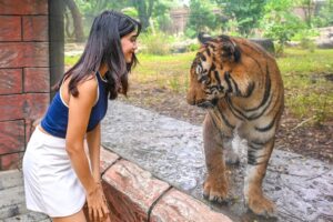 Bhagyashree Limaye Instagram - My recent trip to the Mumbai Zoo was one of the best experiences I've ever had at a zoo. The animals looked so happy, and I honestly felt just as happy being there. 
The place has been beautifully renovated, and getting so close to a tiger was an absolute thrill. It was definitely one of the best days of my life.
The penguins, the colorful birds, the gorgeous elephant, and the stunning leopard were just amazing. There's so much beauty to take in! ♥️
I really urge everyone to check out the Mumbai Zoo ASAP and experience the magic of nature up close.

Thank you @dr.abhisheksatam22 for blessing me with so much information and being a wonderful guide and giving so much love to these creatures! 
@emmanual_09 thank you for these wonderful pictures! 
@themumbaizoo and @my_bmc @rameshwar_jagdale thank you for this wonderful experience! ♥️♥️
#zoo #themumbaizoo #love