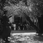 Bianca Comparato