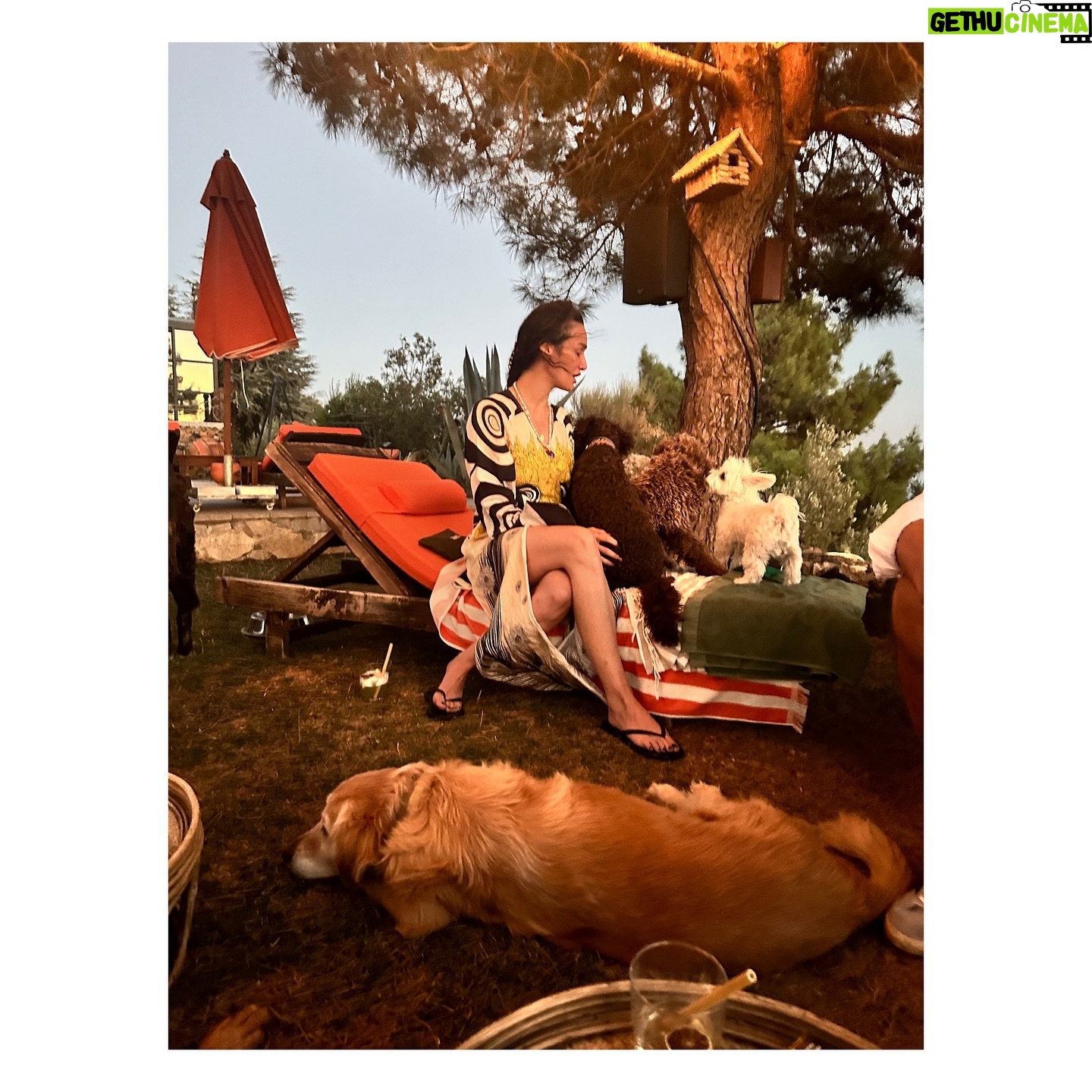 Birce Akalay - 217.7K Likes - The most blessed summer has begun.
🐚🥂🐦🔥🧜🏻♀️
& to be continued.
Ps: My home for years. All the employees are my family. I'm glad you're here, let's be together forever.
Thank you all from the bottom of our hearts.
@simurginn 🐾
I love you so much my magic box, my phoenix!
@dilarakarabay 🫀
