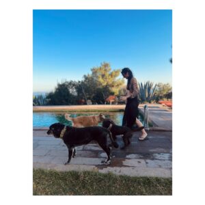 Birce Akalay Instagram - The most blessed summer has begun.

🐚🥂🐦‍🔥🧜🏻‍♀️

& to be continued.

Ps: My home for years. All the employees are my family. I'm glad you're here, let's be together forever.
Thank you all from the bottom of our hearts.
@simurginn 🐾

I love you so much my magic box, my phoenix!
@dilarakarabay 🫀