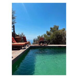 Birce Akalay Instagram - The most blessed summer has begun.

🐚🥂🐦‍🔥🧜🏻‍♀️

& to be continued.

Ps: My home for years. All the employees are my family. I'm glad you're here, let's be together forever.
Thank you all from the bottom of our hearts.
@simurginn 🐾

I love you so much my magic box, my phoenix!
@dilarakarabay 🫀