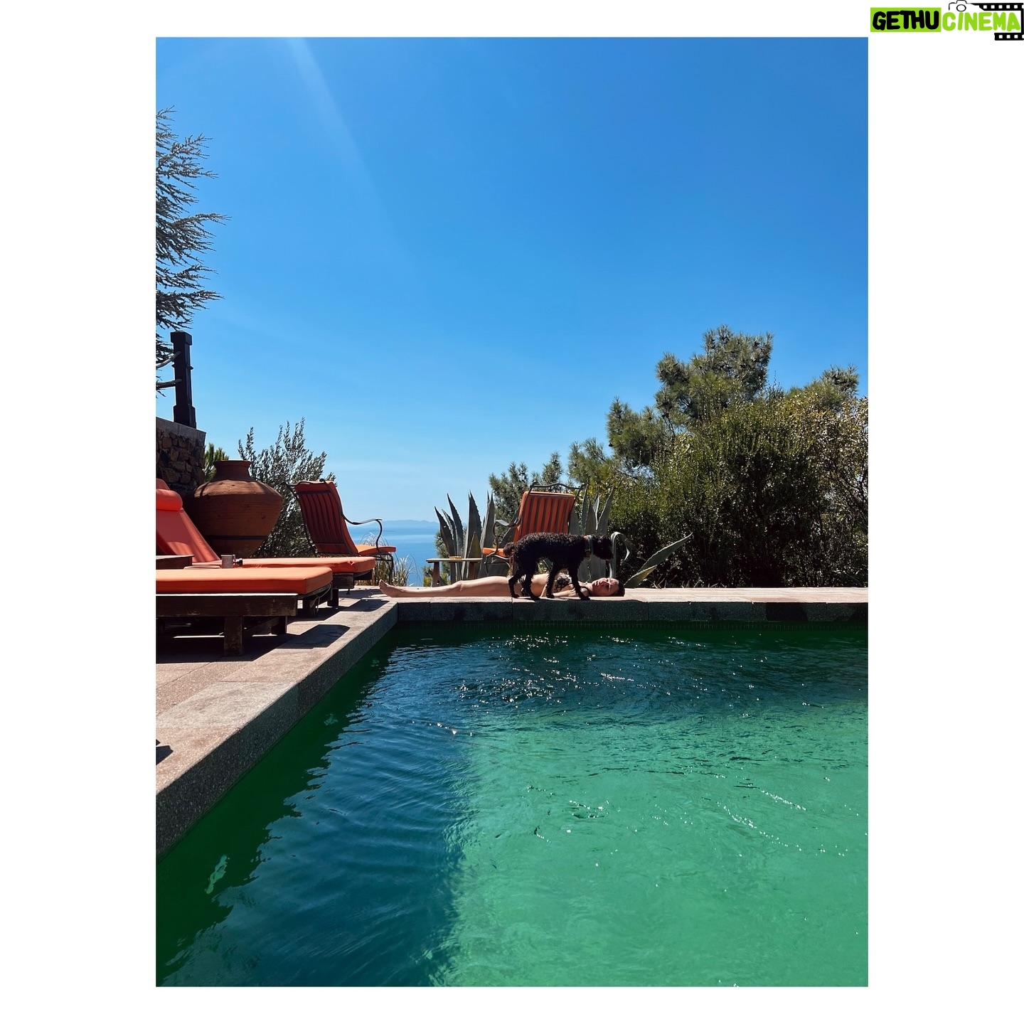 Birce Akalay - 217.7K Likes - The most blessed summer has begun.
🐚🥂🐦🔥🧜🏻♀️
& to be continued.
Ps: My home for years. All the employees are my family. I'm glad you're here, let's be together forever.
Thank you all from the bottom of our hearts.
@simurginn 🐾
I love you so much my magic box, my phoenix!
@dilarakarabay 🫀