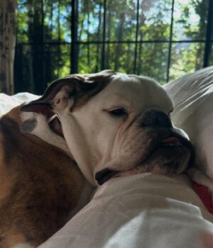 Brooklyn Decker Instagram - I will be spamming you with Summer of ‘24 for the rest of time.