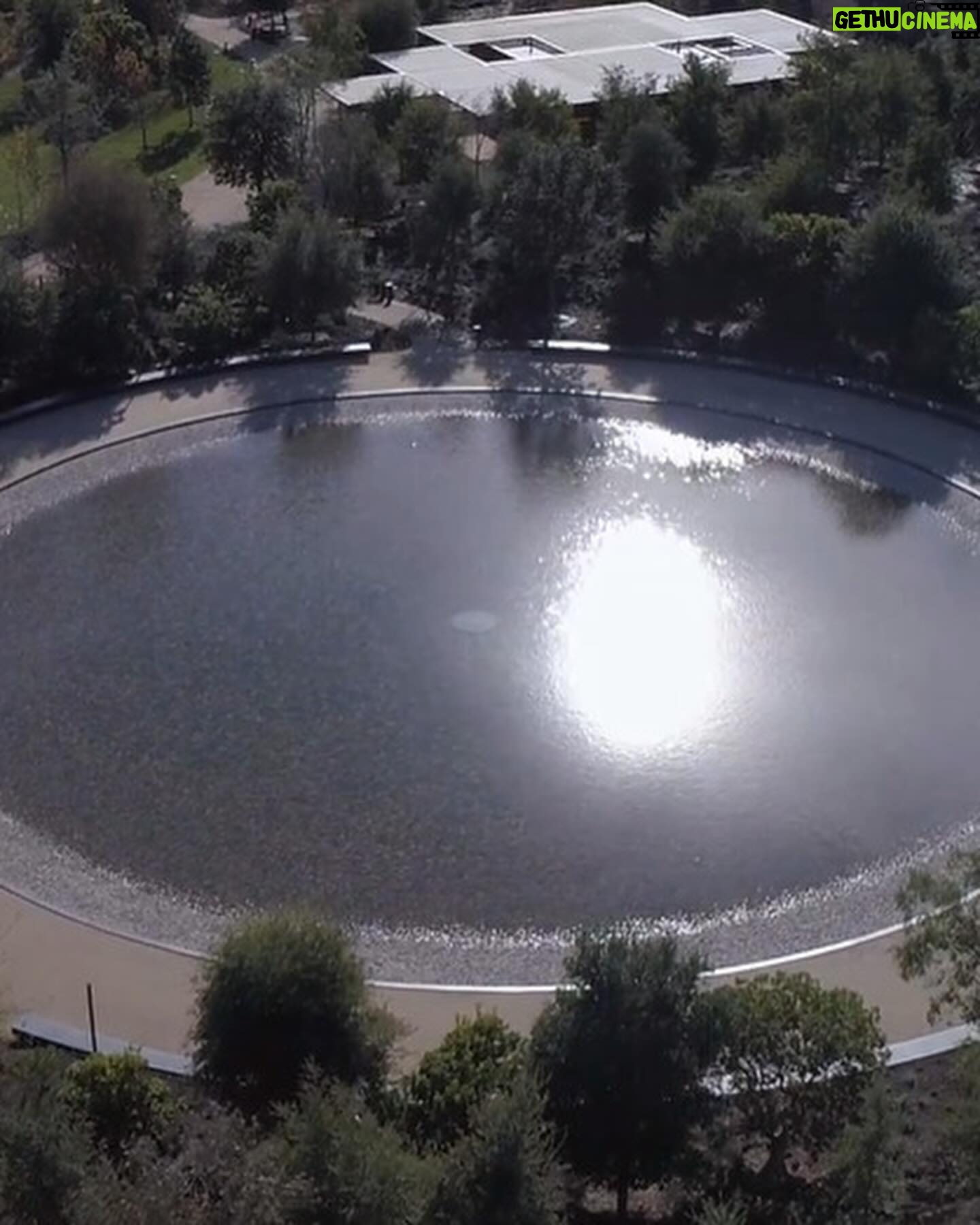 Carlota Guerrero - 6K Likes - infinitas gracias @apple for a trip to the future
meditation pond made me cry ♾️